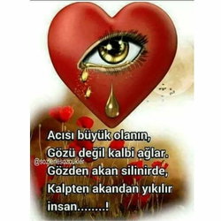 Kadir