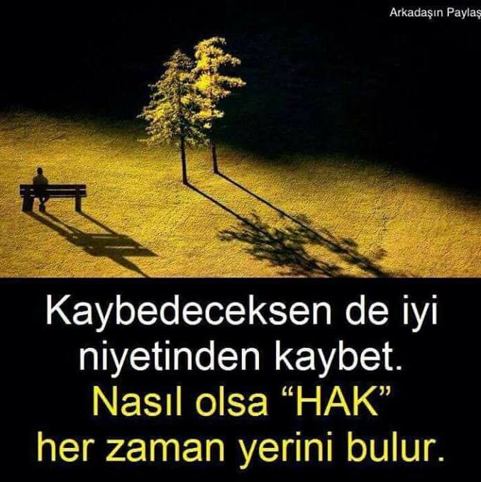 Mücahit