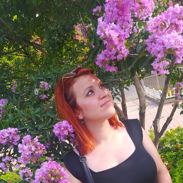 Seda