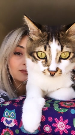 Özlem