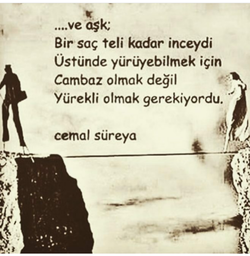 Enzel