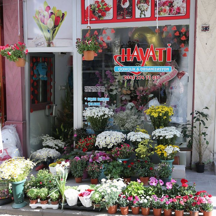 Hayati