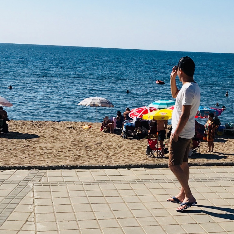 Erdal