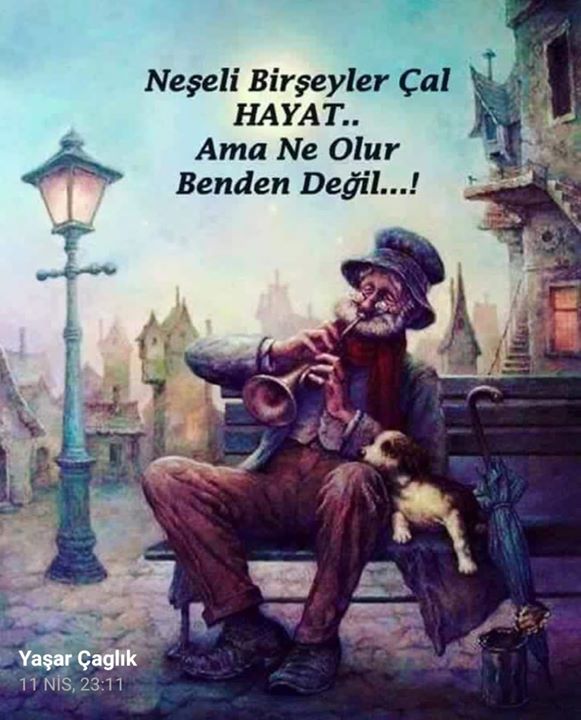 Yaşar