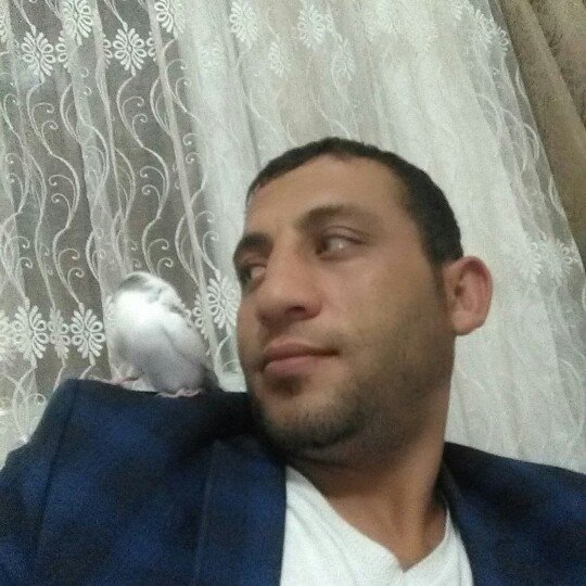 Barış