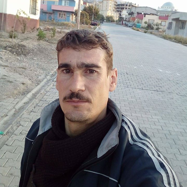 ربيع