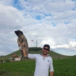 Sinan