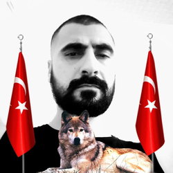Poyraz