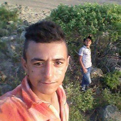 Sedat
