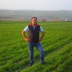 Davut