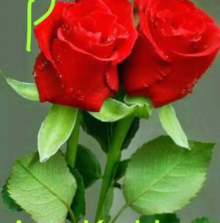 Ajoy
