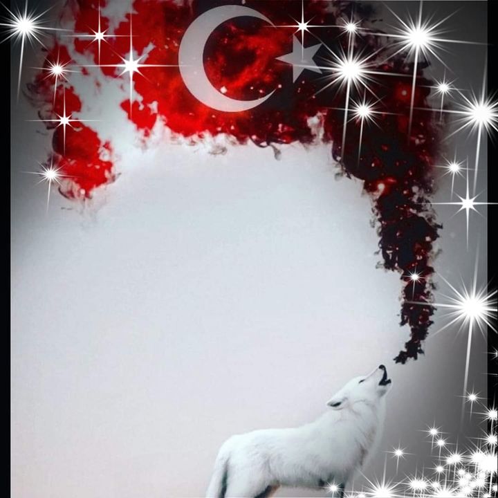 Erol