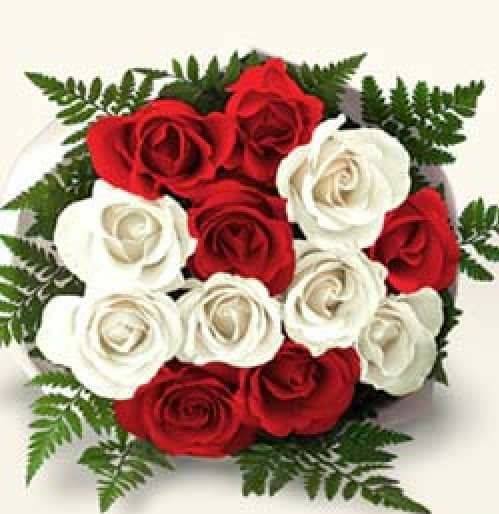 Aynur