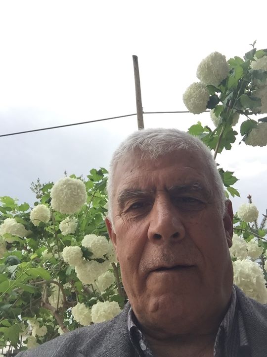 Ali