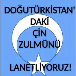 Ebubekir