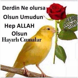 Hüseyin