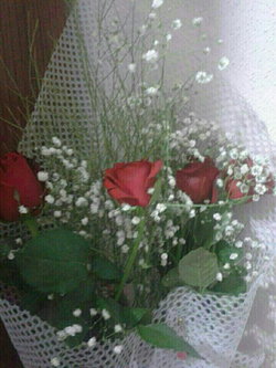 Fatma