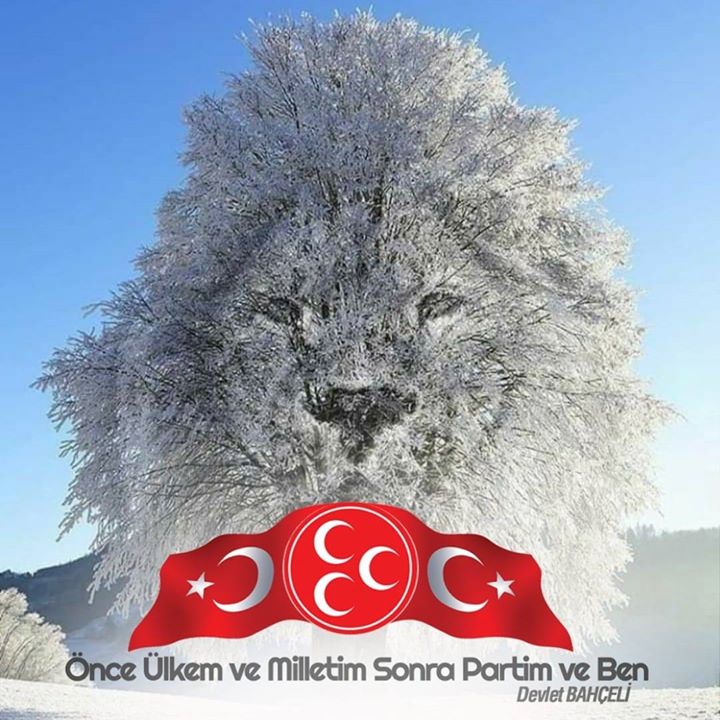Erol