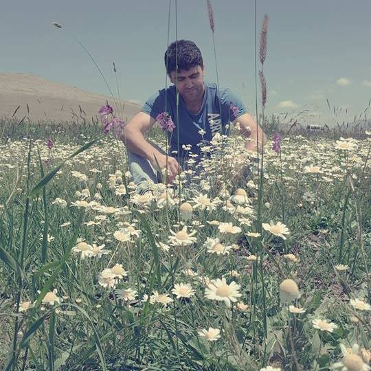 Fatih