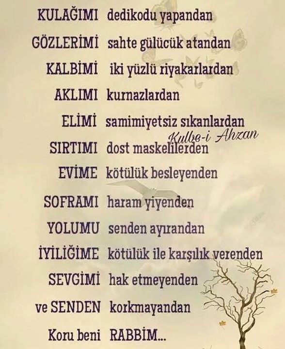 Veysel