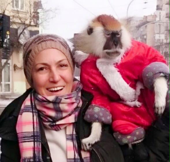 Sibel