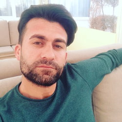 Şahin