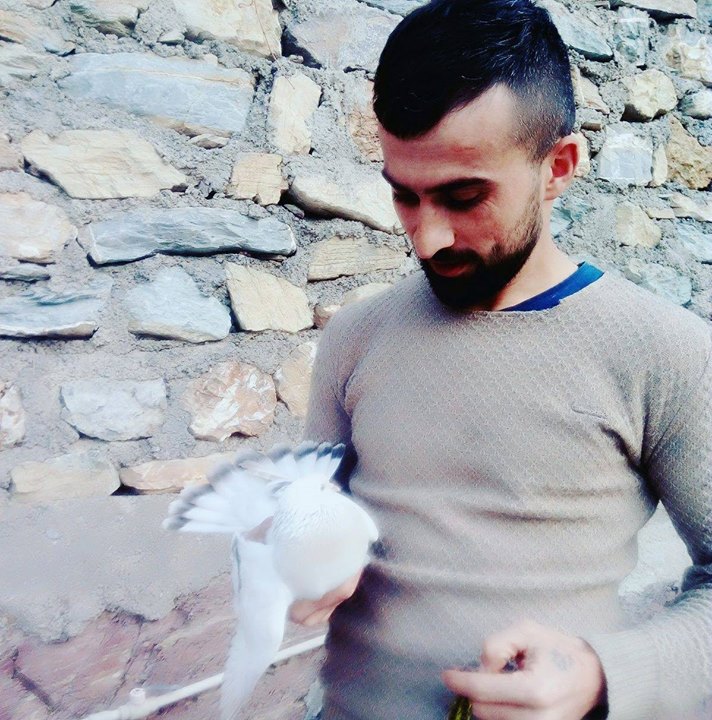 Vedat