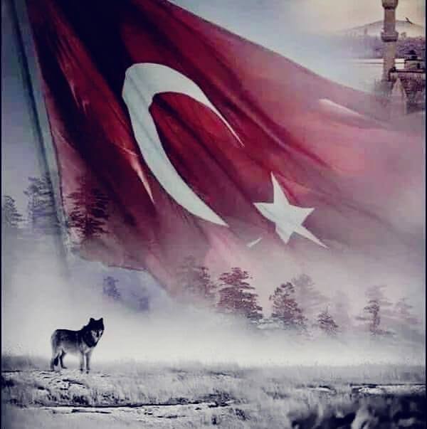 Yunusbahşi