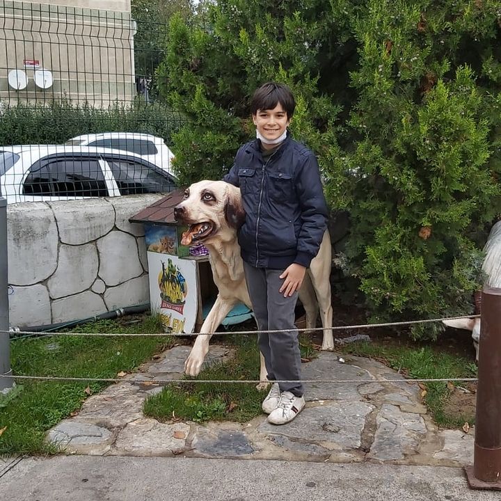 Harun