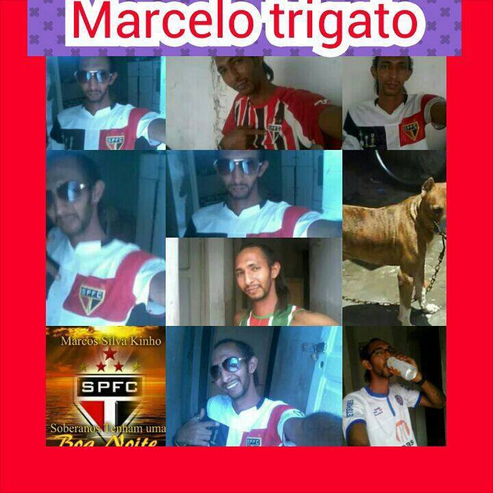 Marcelo