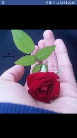 Faruk