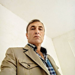 Bozkurt