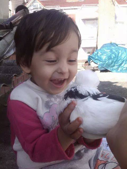 Fahri