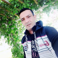Halil