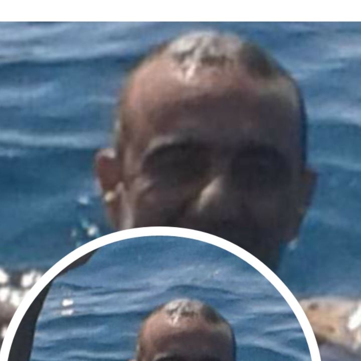 Halit
