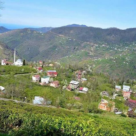 Berat