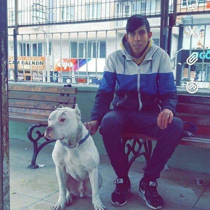 Ahmet
