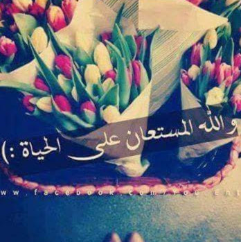 Mohamed