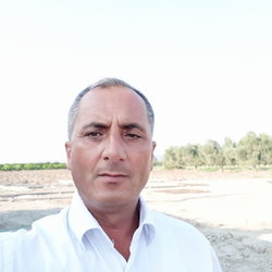 Seydi