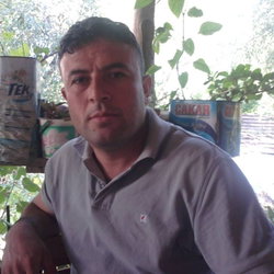 Tayfun