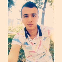 Doğan