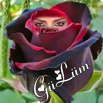 Aygün