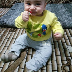 Murat