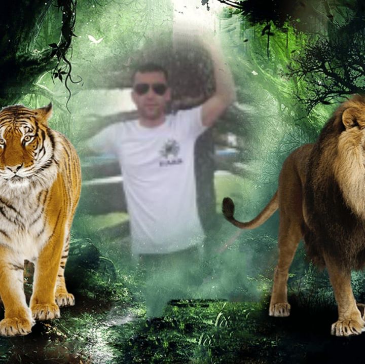 Toyir