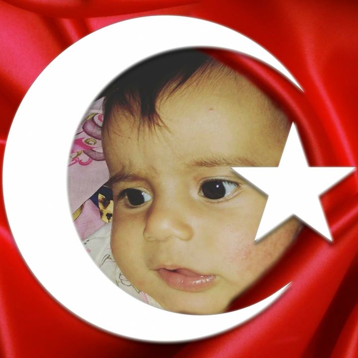 Halil