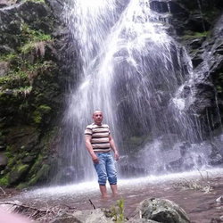 Davut