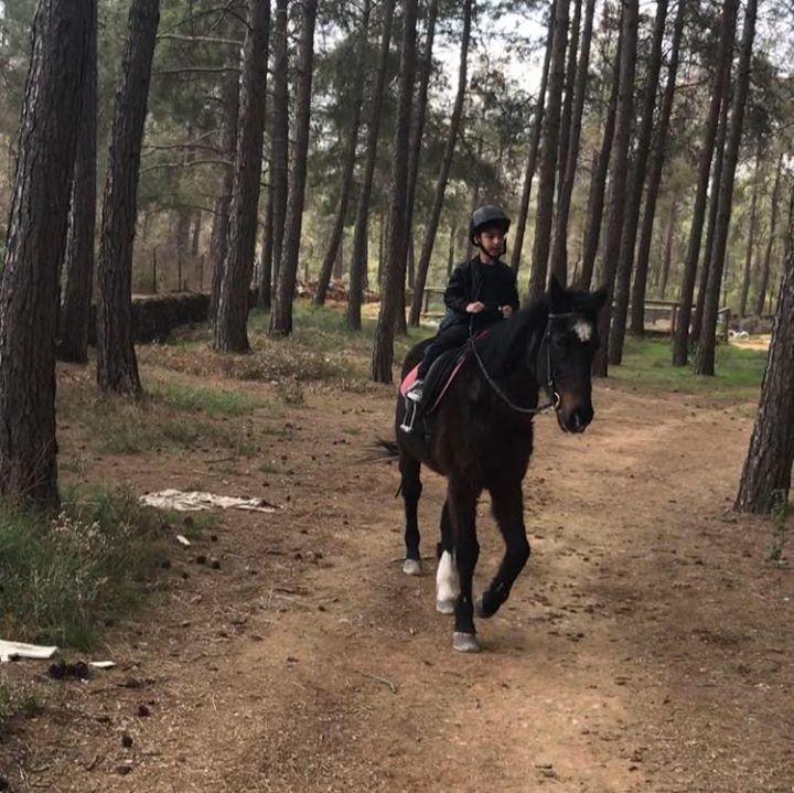Erhan