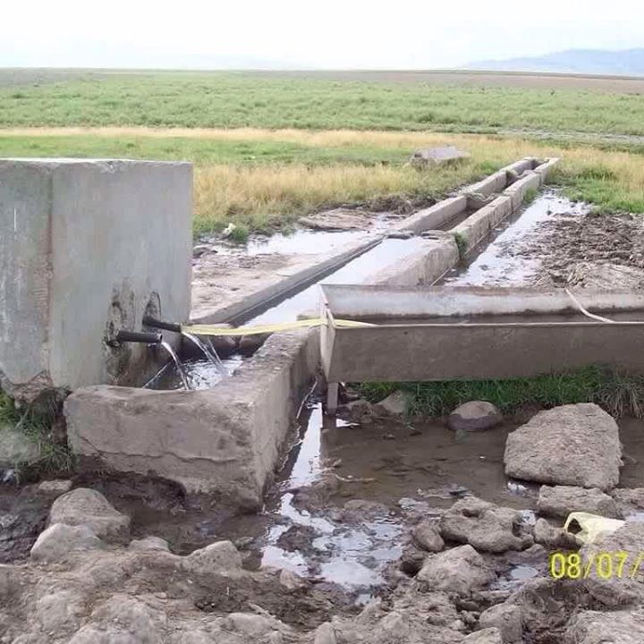 Paşa