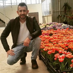 Nihat