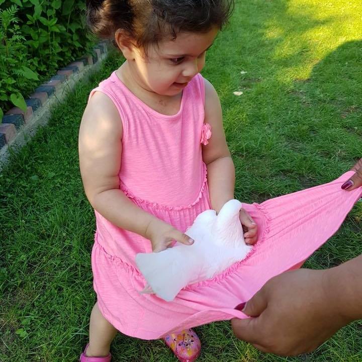 Mustafa